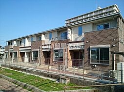 Ｂｌｕｅ　ｗｉｌｌｏｗ　III 101