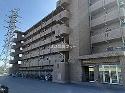 Y&MドリームIII 601