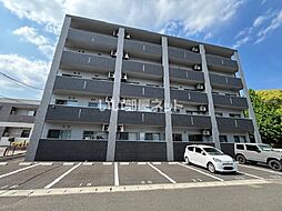 Flower Concordia 502