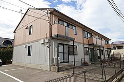 プリムローズ 203