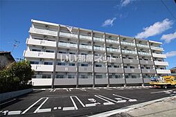 Diosa de sol（ディオサ デ ソル） 505