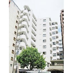 ベルシティ五橋 502