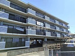 JR鹿児島本線 水城駅 徒歩7分の賃貸マンション