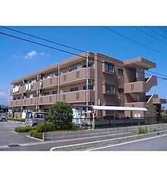 東武日光線 合戦場駅 徒歩8分の賃貸マンション