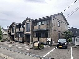 ウィルモア泉野