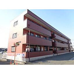 フォレスタコート