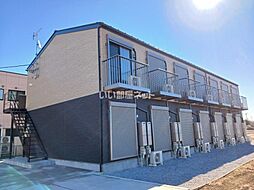 ラパ オリーブ 203