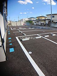 Bel Suono(ベルスオーノ) 203 2階1LDKのリビング/ダイニング