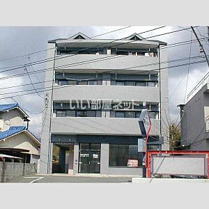 外観 外観