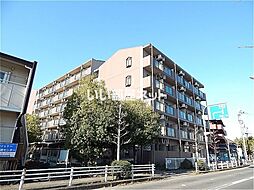 ＡＰＥＸ　ＦＬＡＴ　Ｒ 101