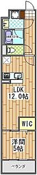 千葉市緑区おゆみ野3丁目マンション 1LDKの間取図画像