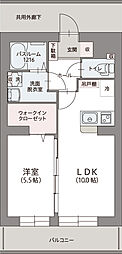 ルミエール碧 1LDKの間取図画像