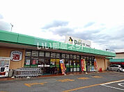 【スーパー】ダイユー若松店まで435ｍ