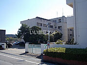 【小学校】南国市立大篠小学校まで954ｍ