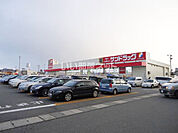 【ドラッグストア】サンドラッグ 新国道店まで555ｍ