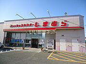 【ショッピングセンター】ファッションセンターしまむら古賀店まで280ｍ