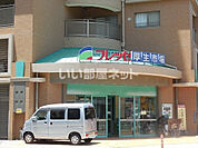 【スーパー】城山ストアー高見馬場店まで500ｍ