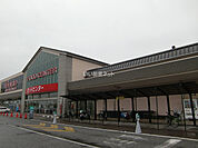 【スーパー】Beisia(ベイシア) 彦根店まで35ｍ