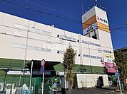 【スーパー】つきみ野生鮮市場まで1359ｍ