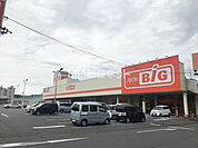 【スーパー】ザ・ビッグ 上田中央店まで339ｍ