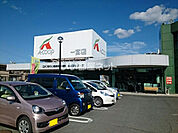 【スーパー】JAひまわりAコープ一宮店まで550ｍ