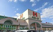 【スーパー】ハローズ 東岡山店まで1331ｍ