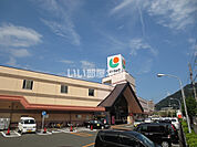 【スーパー】マルショク富野店まで983ｍ