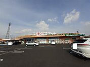 【ドラッグストア】レデイ薬局 十川店まで453ｍ