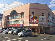 【ドラッグストア】サンドラッグ伊勢原板戸店まで970ｍ