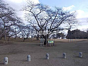 【公園】三神峯公園まで339ｍ