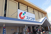【ドラッグストア】カワチ薬品　柏中央店まで740ｍ