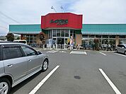 【スーパー】しまむらストアー 中原御殿店まで418ｍ