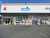 【ドラッグストア】ウエルシア相模原田名店まで1355ｍ