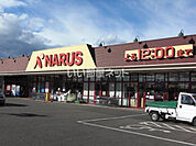 【スーパー】NARUS(ナルス) 鴨島店まで1580ｍ