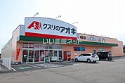 【ドラッグストア】クスリのアオキ 中恵土店まで659ｍ