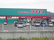 【ドラッグストア】コスモス柳井店まで2045ｍ