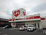 周辺：【ドラッグストア】くすりのレデイ 坂出中央店まで1117ｍ
