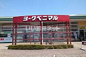 【スーパー】ヨークベニマル大田原店まで1005ｍ