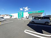 【ドラッグストア】ザグザグ東一宮店まで946ｍ