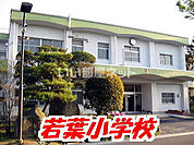 【小学校】若葉小学校まで721ｍ