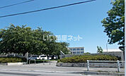 【小学校】函館市立鍛神小学校まで505ｍ