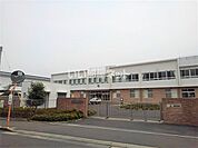 【小学校】観音寺市立観音寺小学校まで1056ｍ