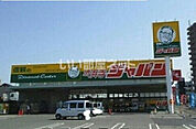 【ディスカウントショップ】ジャパン堺浜寺店まで785ｍ