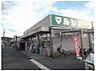 周辺：【スーパー】マルシェー 長束店まで1581ｍ