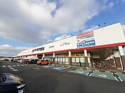 【ドラッグストア】クスリのアオキ おおつ野店まで2344ｍ