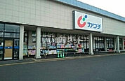 【ドラッグストア】カワチ薬品 祝町店まで1532ｍ