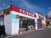 【ドラッグストア】キリン堂 PH天理店まで965ｍ