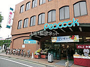【スーパー】ピーコックストア 久我山店まで1986ｍ