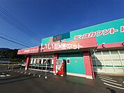 【ドラッグストア】ディスカウントドラッグ コスモス 周東店まで950ｍ