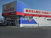 【ドラッグストア】ドラッグストアウェルネスまで555ｍ